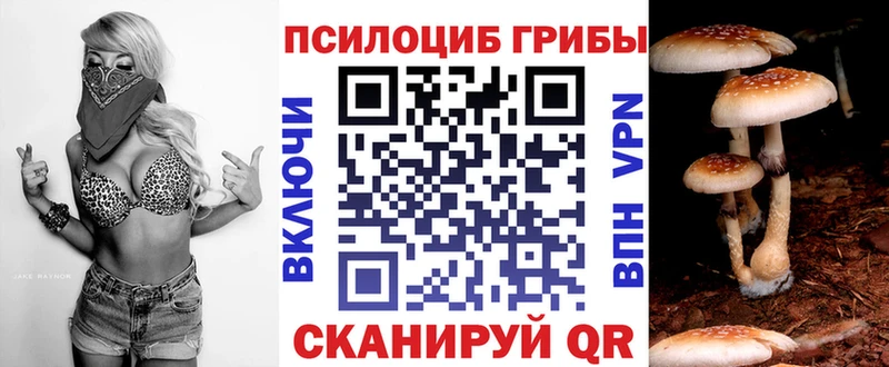 Псилоцибиновые грибы прущие грибы  MEGA зеркало  Юрга 