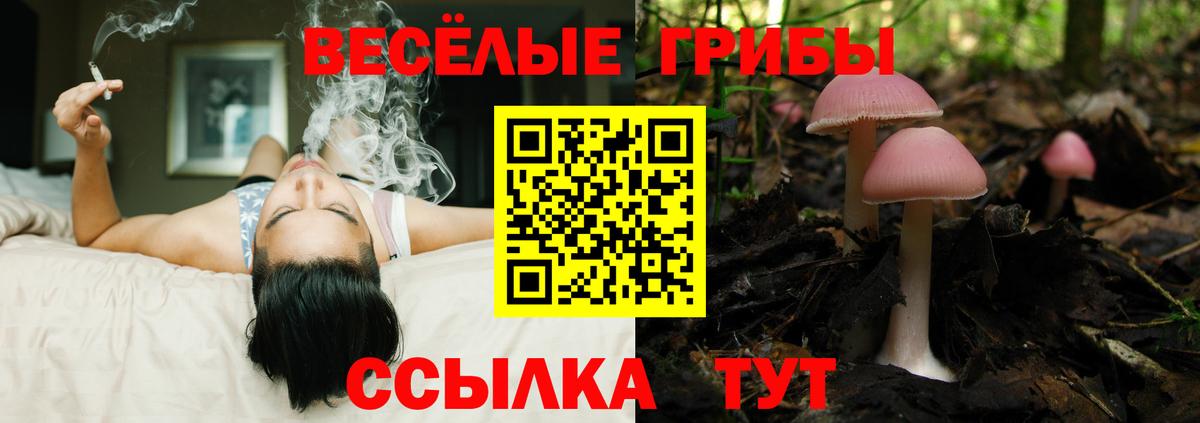 Юрга  Галлюциногенные грибы прущие грибы  Вход с VPN  Псилоцибиновые грибы ЛСД 