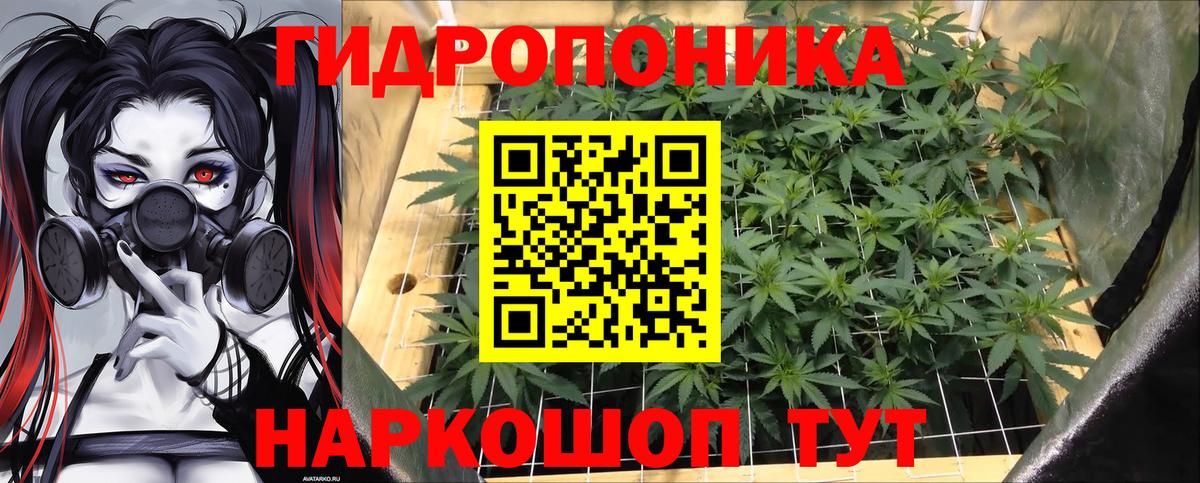 Бошки Шишки VHQ Юрга